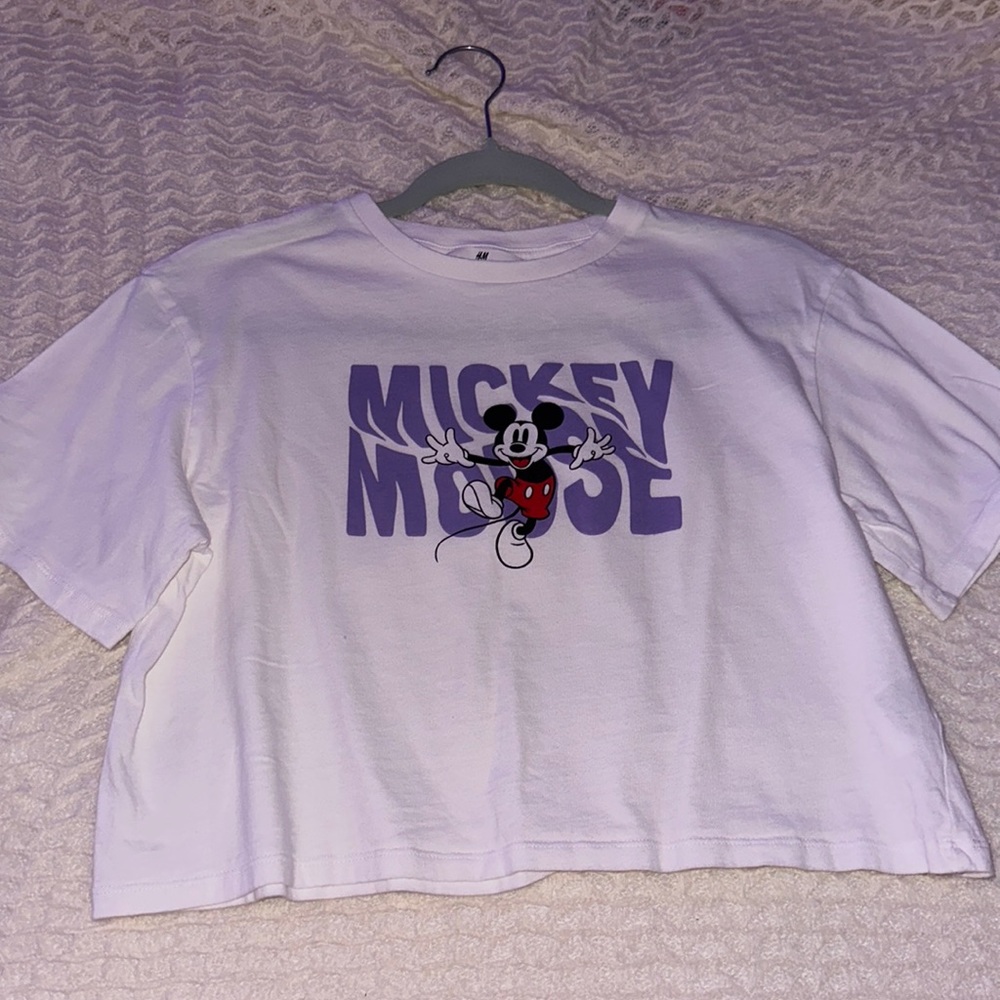 H and m collab Disney